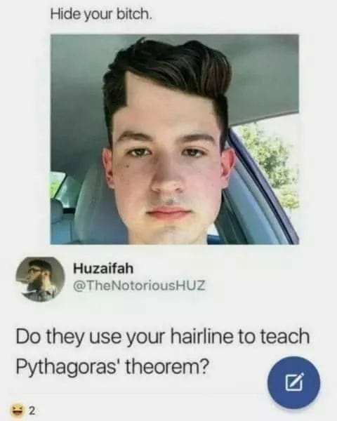 hide your bitch meme - Hide your bitch Do they use your hairline to teach Pythagoras' theorem? 2