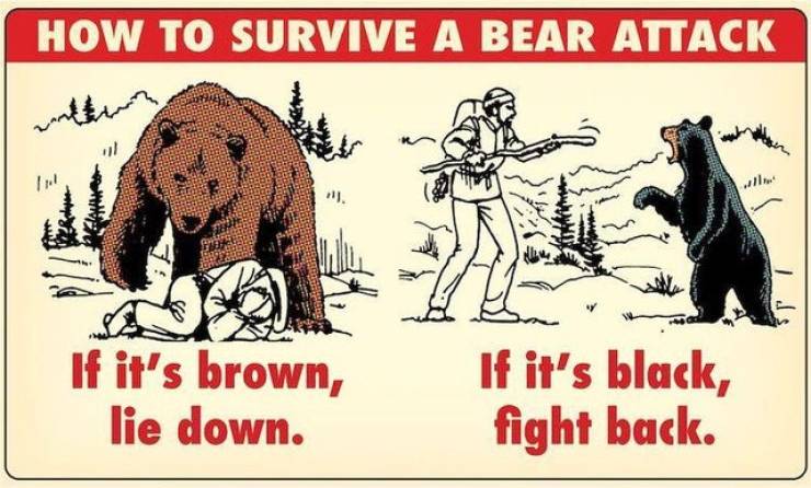 magic jack - How To Survive A Bear Attack with will If it's brown, lie down. If it's black, fight back.