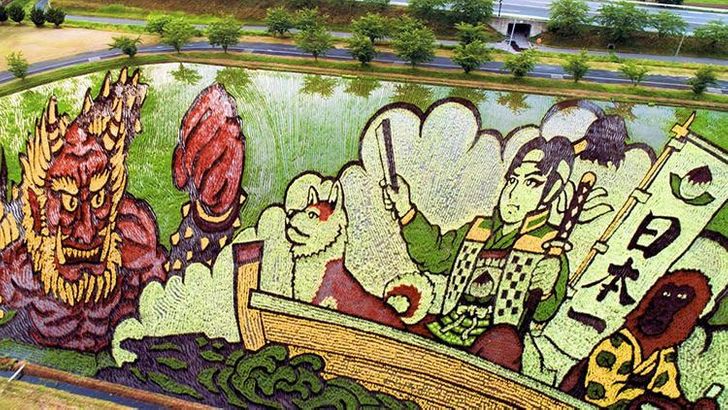japanese rice paddy art -