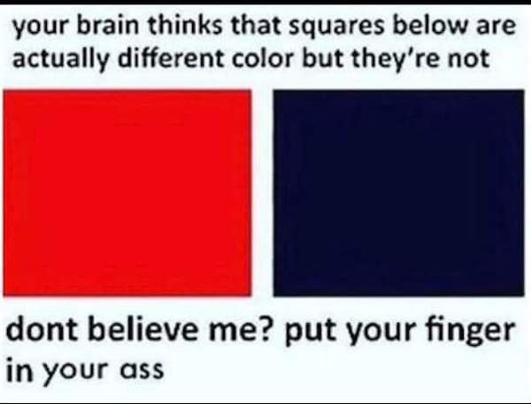 don t believe me stick your finger - your brain thinks that squares below are actually different color but they're not dont believe me? put your finger in your ass