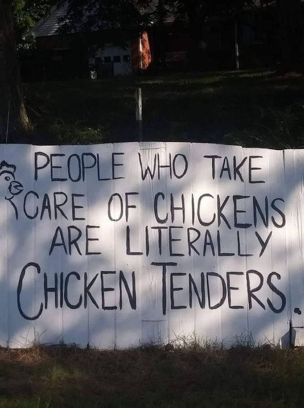 wall - People Who Take Care Of Chickens Are Literally Chicken Tenders