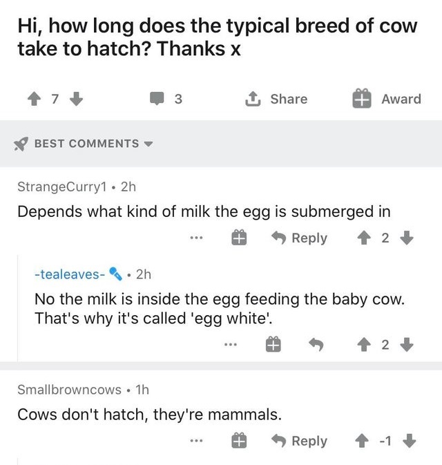 number - Hi, how long does the typical breed of cow take to hatch? Thanks x 7 3 1 Award Best StrangeCurry1. 2h Depends what kind of milk the egg is submerged in 2 tealeaves .. 2h No the milk is inside the egg feeding the baby cow. That's why it's called '
