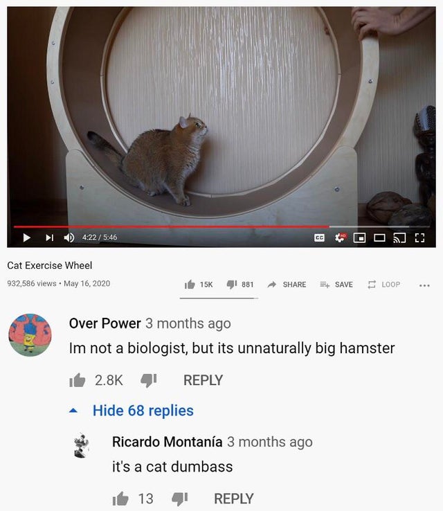 photo caption - Cc Cat Exercise Wheel 932,586 views 15K 41 881 Save Loop . Over Power 3 months ago Im not a biologist, but its unnaturally big hamster Hide 68 replies Ricardo Montana 3 months ago it's a cat dumbass 13