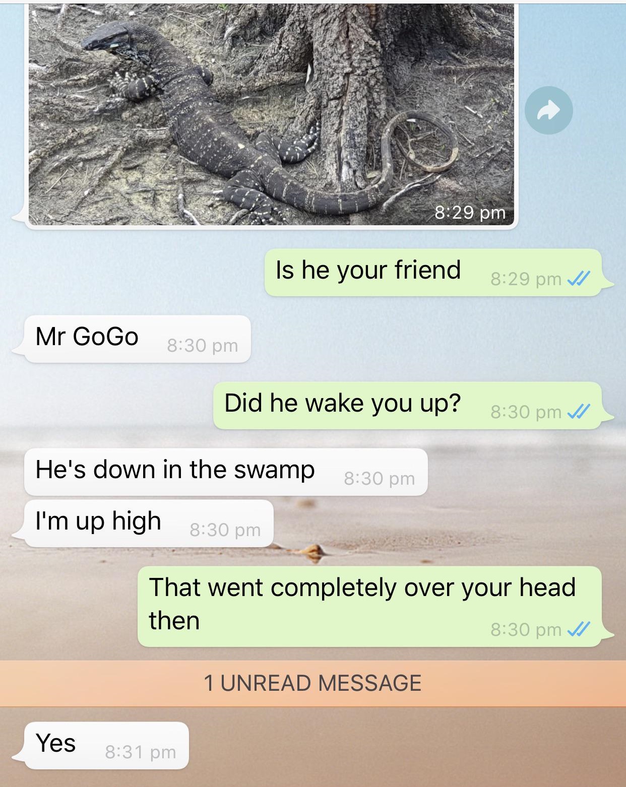 screenshot - Is he your friend . pm Mr GoGo Did he wake you up? He's down in the swamp I'm up high That went completely over your head then 1 Unread Message Yes