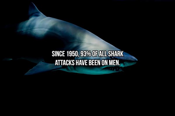 shark background - Since 1950,93% Of All Shark Attacks Have Been On Men.