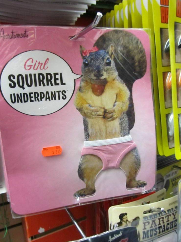 Photograph - Acutioments Girl Squirrel Underpants $ 553 Party Mustache