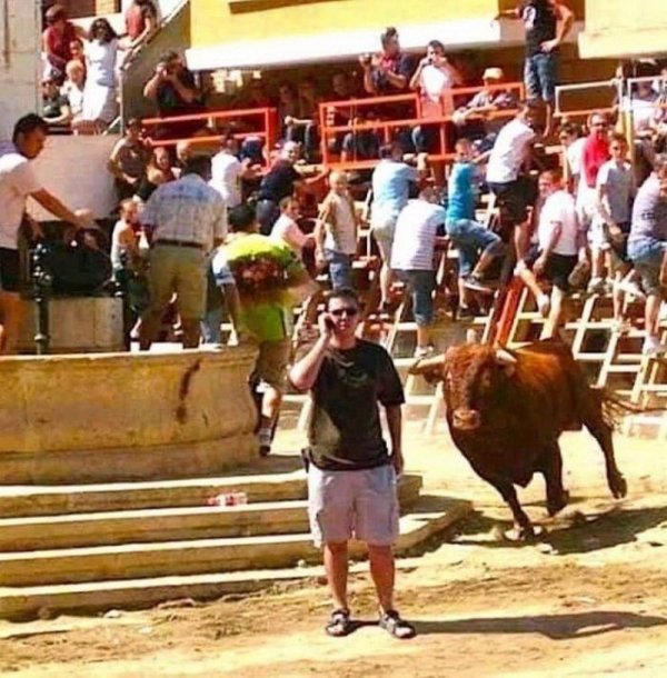 funny memes - guy about to get run over by a bull