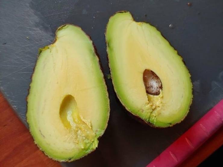 avocado with small pit inside