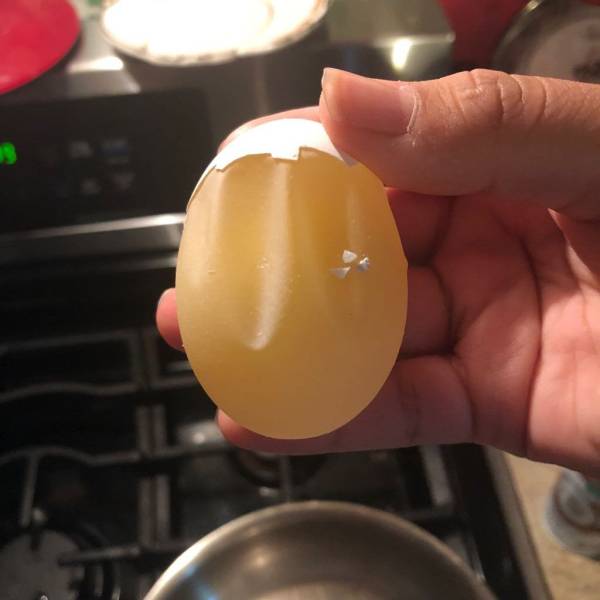 cool objects - peeled egg with membrane fully intact