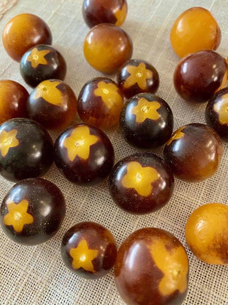 cool objects - star prints on cherry tomatoes