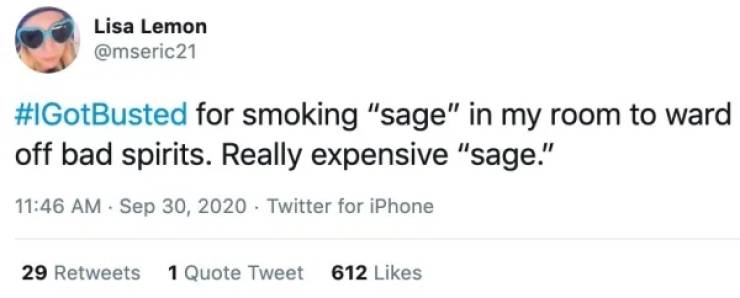 lgbt tweets by troye sivan - Lisa Lemon for smoking "sage" in my room to ward off bad spirits. Really expensive "sage." . Twitter for iPhone 29 1 Quote Tweet 612