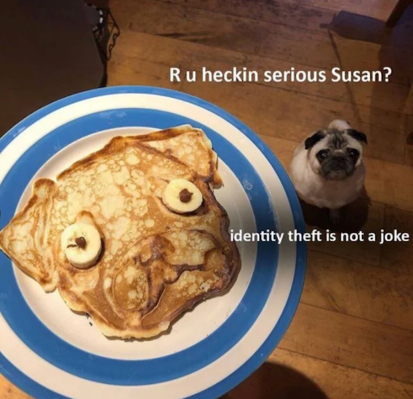 pug pancake - Ru heckin serious Susan? identity theft is not a joke