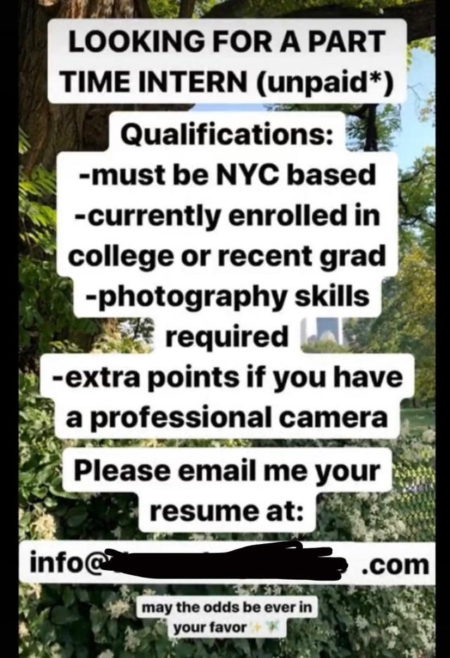 super entitled people - tree - Looking For A Part Time Intern unpaid Qualifications must be Nyc based currently enrolled in college or recent grad photography skills required extra points if you have a professional camera Please email me your resume at in