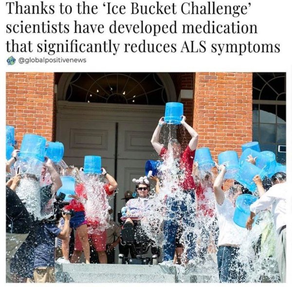 flower - Thanks to the 'Ice Bucket Challenge' scientists have developed medication that significantly reduces Als symptoms