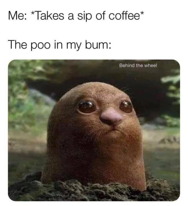 detective pikachu diglett - Me Takes a sip of coffee The poo in my bum Behind the wheel 21