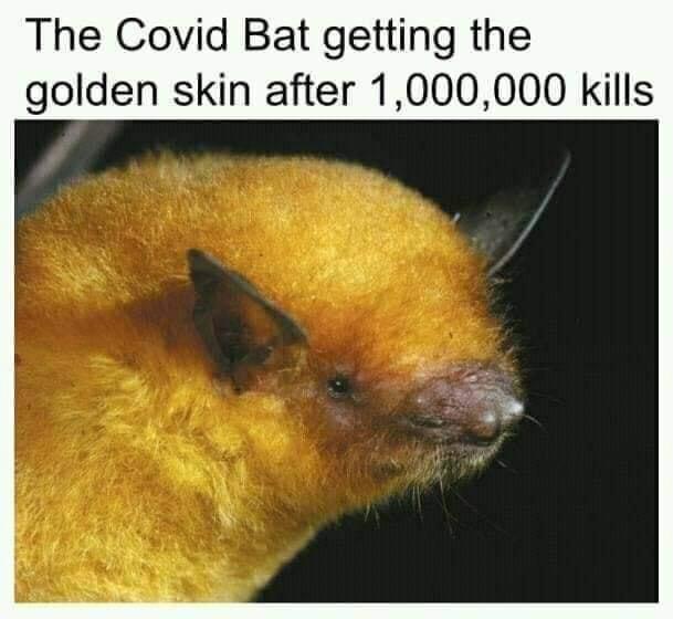 golden bat - The Covid Bat getting the golden skin after 1,000,000 kills