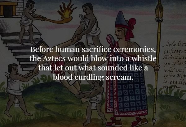 indigenous peoples day meme - Gied Moderlesa Before human sacrifice ceremonies, cu ficar de the Aztecs would blow into a whistle carosel 2020 that let out what sounded a blood curdling scream. Co eractic cene and Lotho Dan