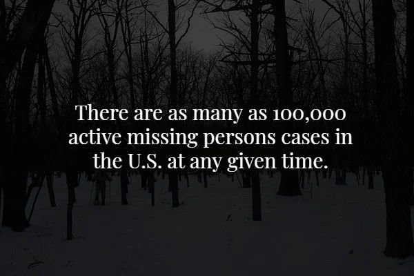 nature - There are as many as 100,000 active missing persons cases in the U.S. at any given time. mesin