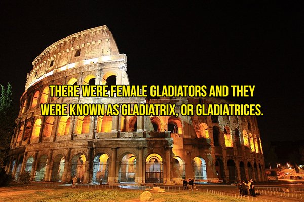 There Were Female Gladiators And They Were Knownas Gladiatrix, Or Gladiatrices.