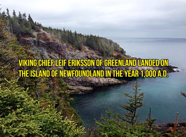 nature reserve - Viking Chief Leif Eriksson Of Greenland Landed On The Island Of Newfoundland In The Year 1,000 A.D.