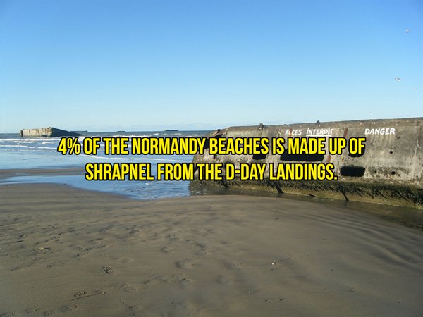 tumblr - Rces Interdit Danger 4% Of The Normandy Beaches Is Made Up Of Shrapnel From The DDay Landings.
