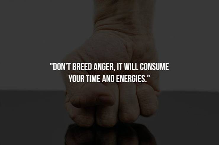 no fear - Don'T Breed Anger, It Will Consume Your Time And Energies."