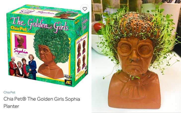 golden girls sophia chia pet - The Golden Girls ChiaPet Sophia Done Le Chi Pu Ses Chia Pet Chia Pet The Golden Girls Sophia Planter