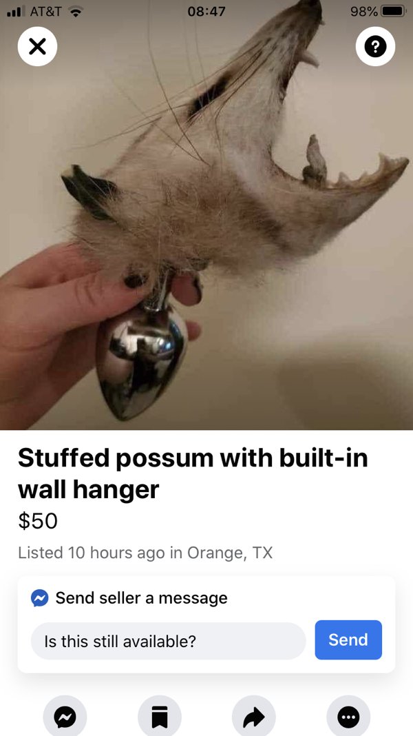 taxidermy butt plug - . At&T 98% ? Stuffed possum with builtin wall hanger $50 Listed 10 hours ago in Orange, Tx Send seller a message Is this still available? Send