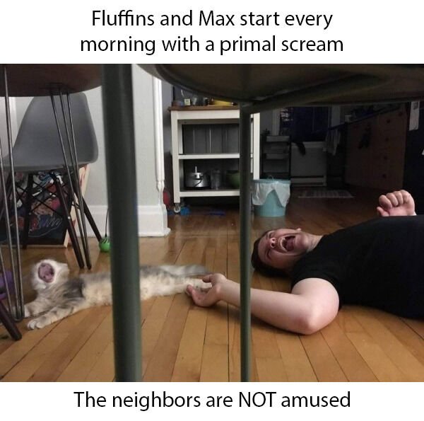photo caption - Fluffins and Max start every morning with a primal scream The neighbors are Not amused