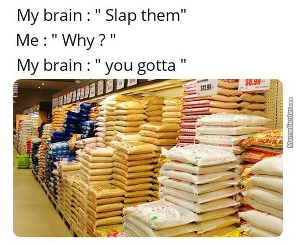 my brain slap them - My brain " Slap them" Me "Why?" My brain "you gotta $8.99 $12.99 MemeCenter.com Cacrose
