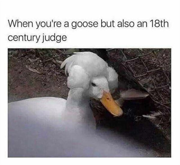 goose meme - When you're a goose but also an 18th century judge