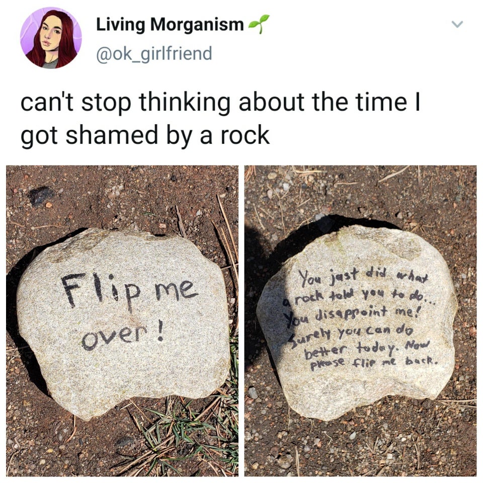 rock told you to do... Living Morganism can't stop thinking about the time got shamed by a rock You just did what me over! You disapreint me! Surely you can do better today. Now please flir me back.