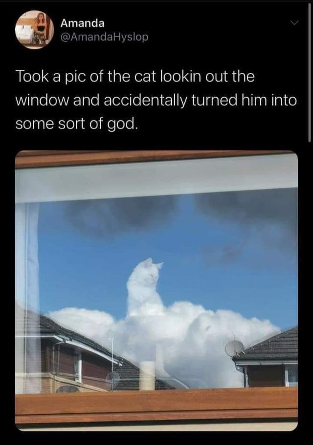 sky - Amanda Took a pic of the cat lookin out the window and accidentally turned him into some sort of god.