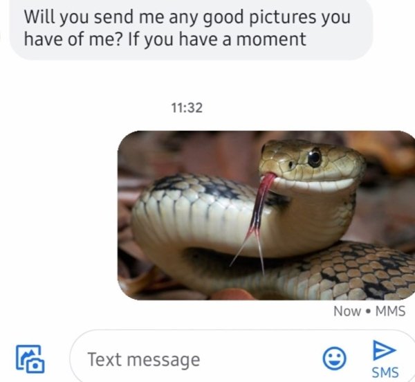 police snake - Will you send me any good pictures you have of me? If you have a moment Now Mms ca Text message Sms