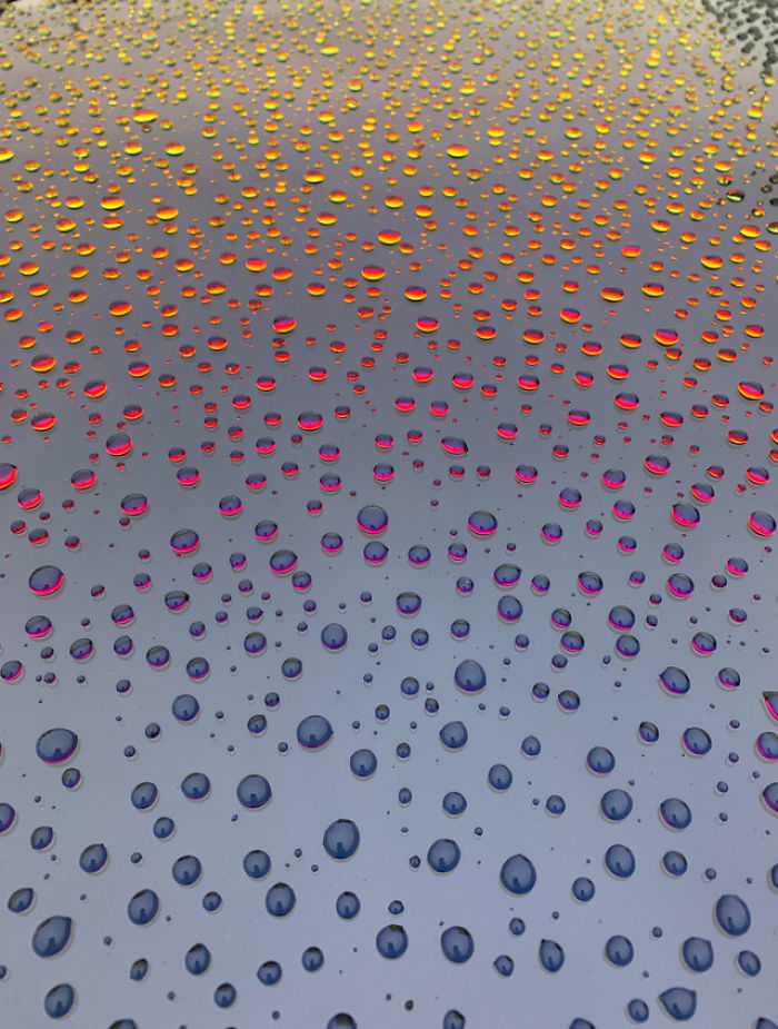 raindrops on a car's sun roof