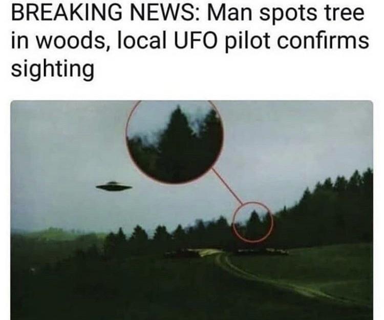 ufo tree meme - Breaking News Man spots tree in woods, local Ufo pilot confirms sighting