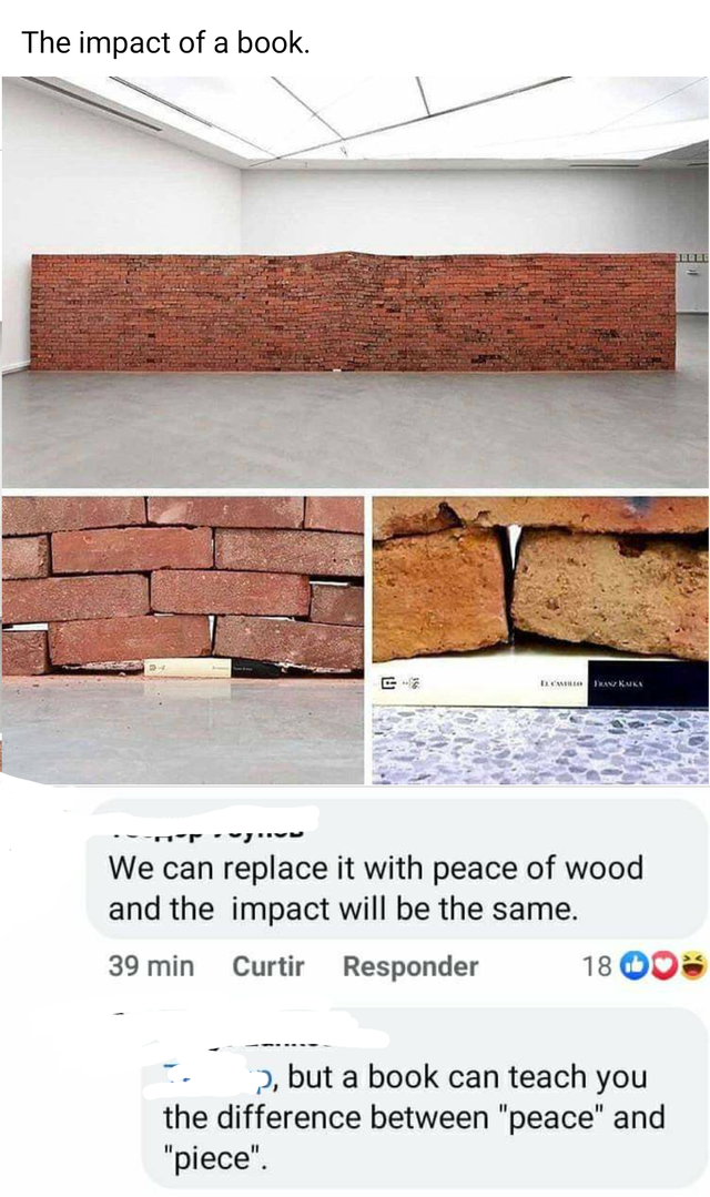 brick book meme - The impact of a book. We can replace it with peace of wood and the impact will be the same. 39 min Curtir Responder 18 2, but a book can teach you the difference between "peace" and "piece"