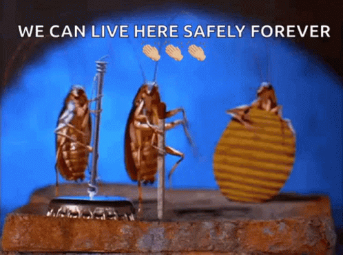 funny work memes - cockroaches dancing we can live here safely foreer