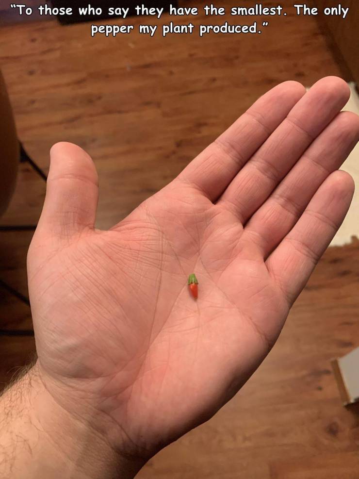 hand - "To those who say they have the smallest. The only pepper my plant produced."