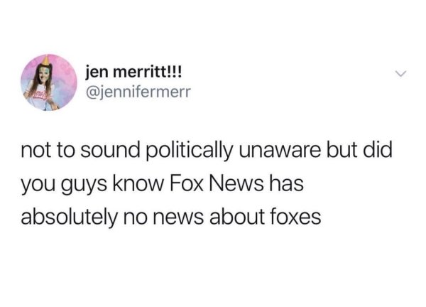 technically correct and funny comments - not to sound politically unaware but did you guys know Fox News has absolutely no news about foxes