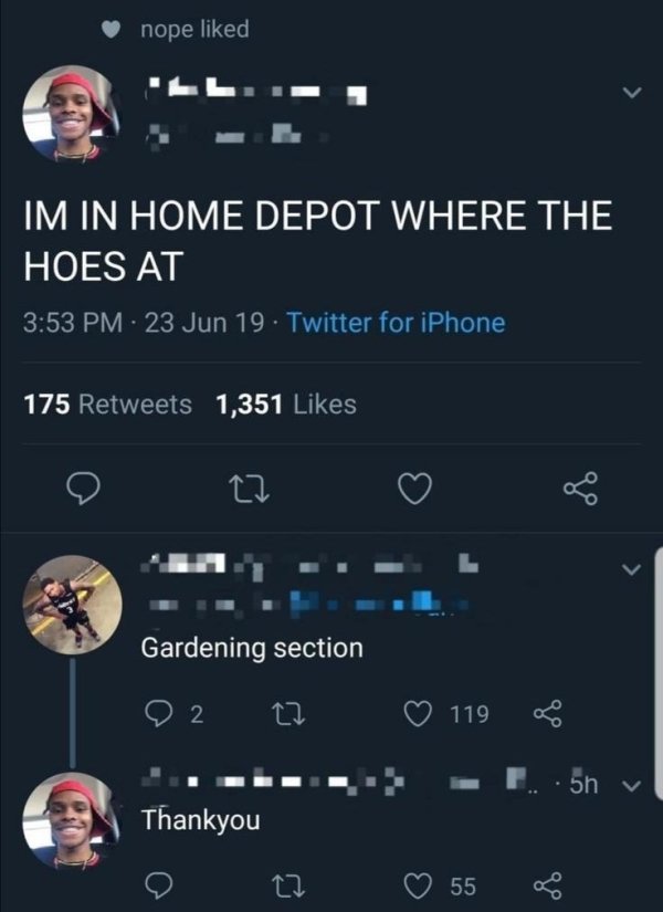 technically correct and funny comments - Im In Home Depot Where The Hoes At - Gardening section - Thank you
