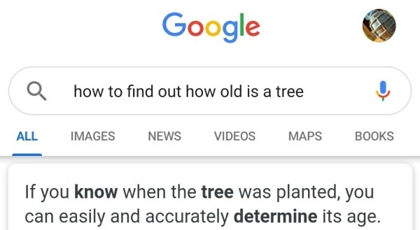 technically correct and funny comments - how to find out how old is a tree - If you know when the tree was planted, you can easily and accurately determine its age.