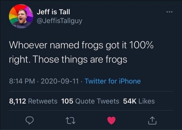 technically correct and funny comments - Whoever named frogs got it 100% right. Those things are frogs