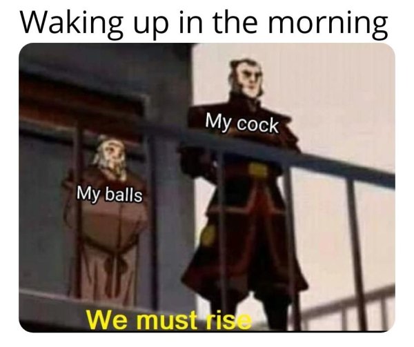 morning wood meme - Waking up in the morning My cock My balls We must ris