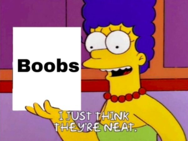 blank meme format - Boobs I Just Think They'Re Neat.