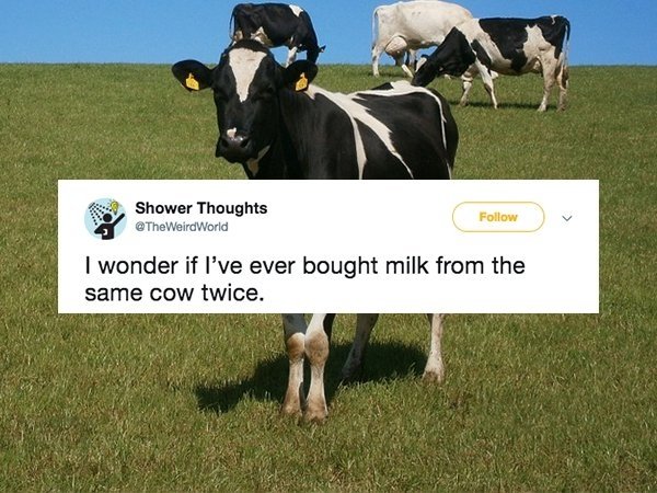 make you think - Shower Thoughts World I wonder if I've ever bought milk from the same cow twice.