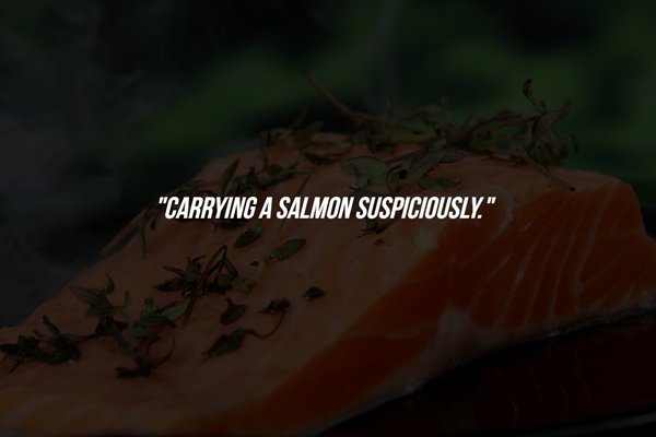 darkness - "Carrying A Salmon Suspiciously."