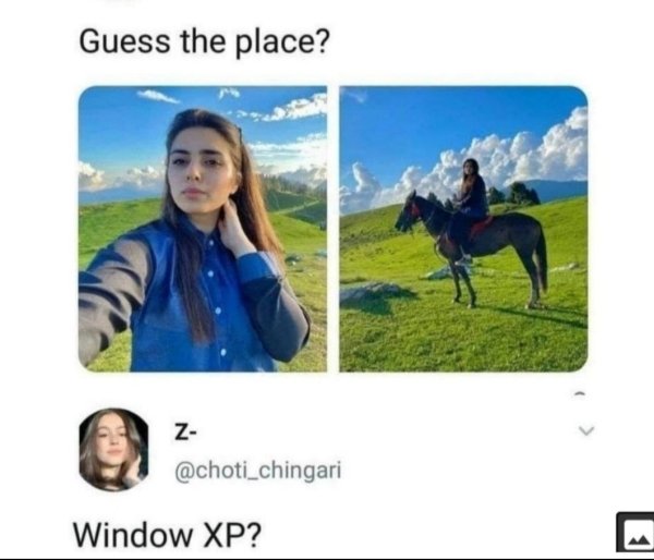 grass - Guess the place? Z Window Xp?