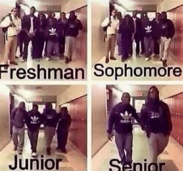 freshman sphomore junior and senior friends meme - Freshman Sophomore Junior Senior