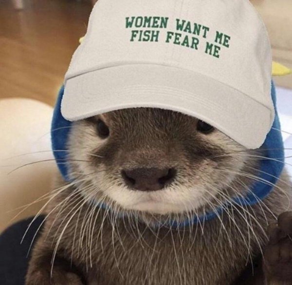 women want me fish fear me otter - Women Want Me Fish Fear Me